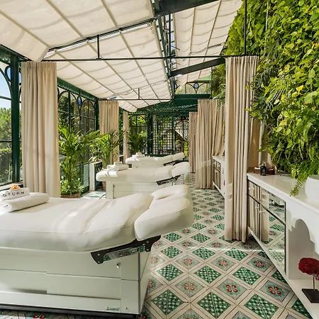 트레빌 포지타노